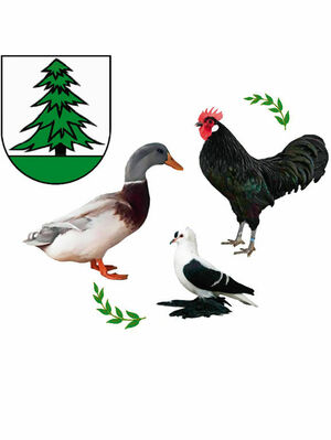 Logo des Geflügelzuchtverein Lichtentanne u. Umg. e. V. Logo des Geflügelzuchtverein Lichtentanne u. Umg. e. V.